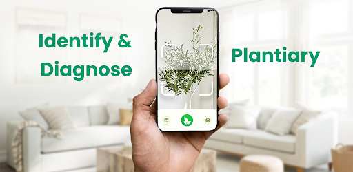 Plantiary - Plant Identifier